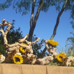 sunflower_tablescape
